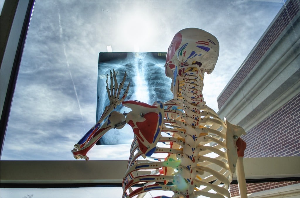 How genes shape our health